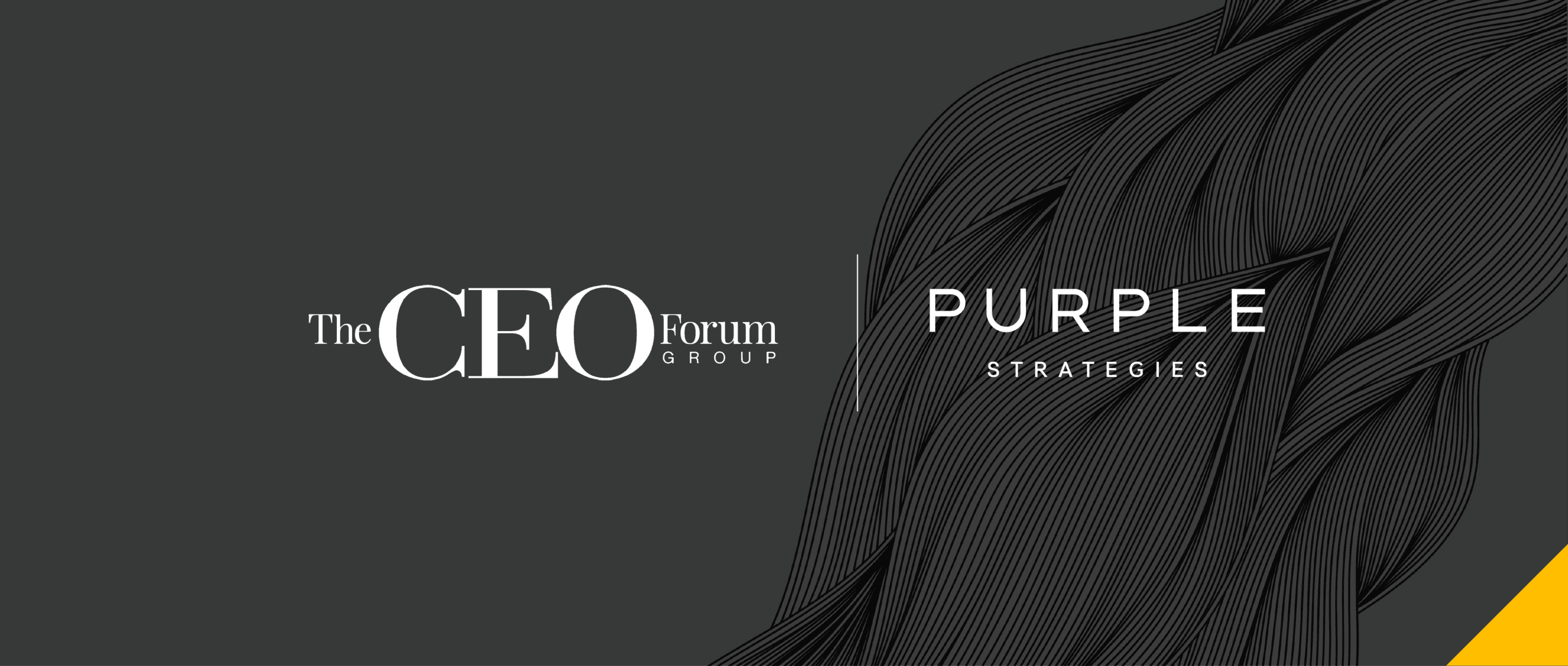 CEOs Share Views on ESG Challenges and Opportunities