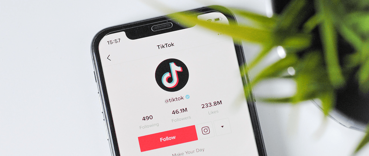 Managing Corporate Reputation on TikTok