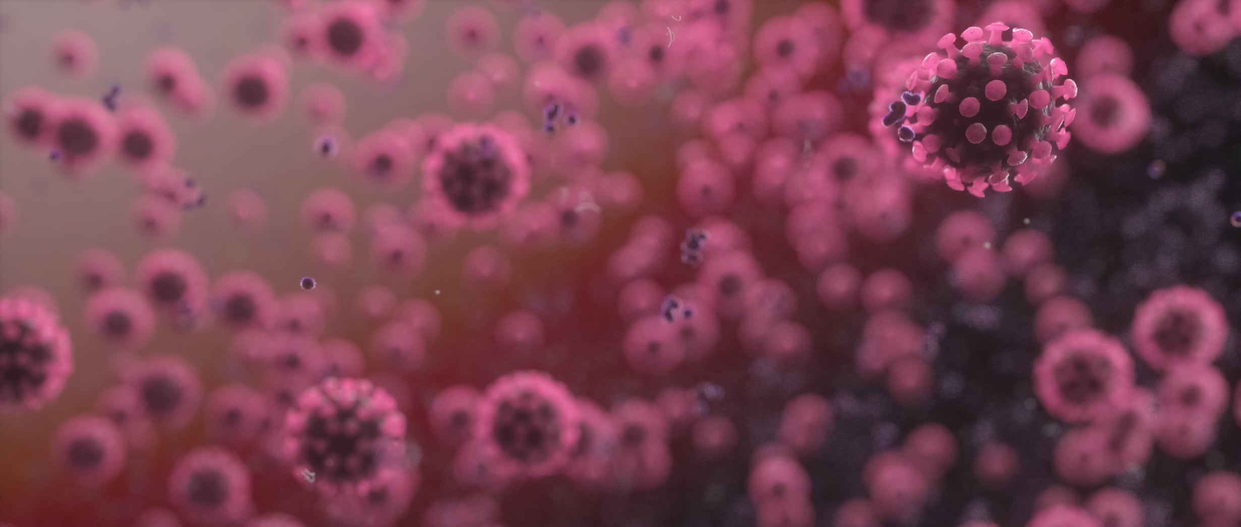 Reputation and the Coronavirus